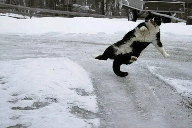Гололедица и туман осложнят дороги Казахстана 4 марта - изображение 1