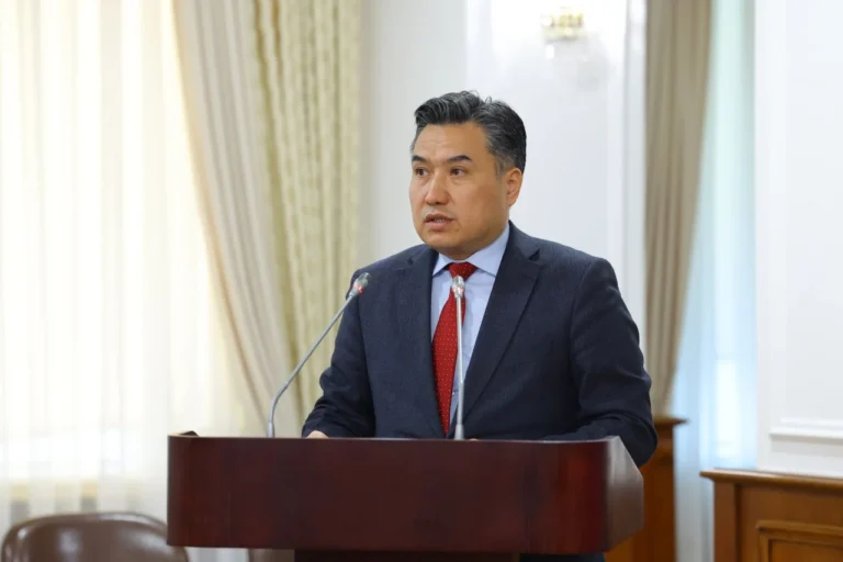 Инвалидные коляски и протезы будут возвращать государству в Казахстане - изображение 1