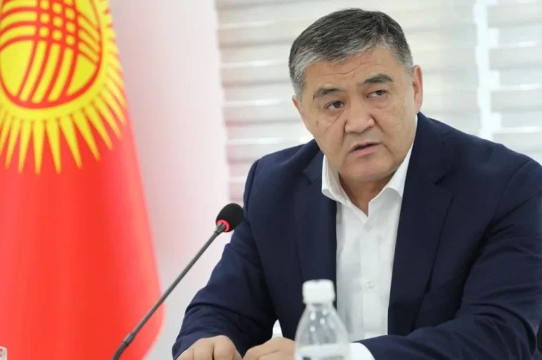 Ташиеву предъявили обвинение в попытке захвата власти - изображение 1