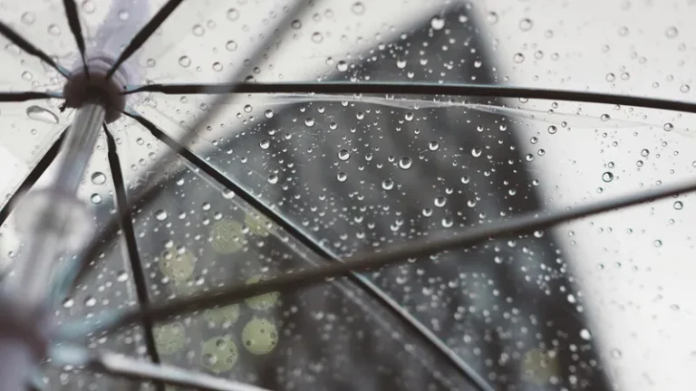 Казахстан накроют дожди, грозы и заморозки - изображение 1