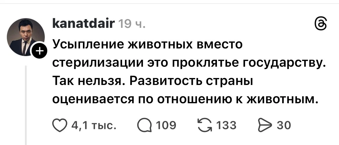 Изображение 3 для Новый законопроект о бездомных животных вызвал шквал критики