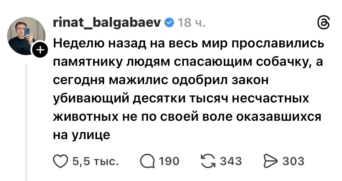 Изображение 4 для Новый законопроект о бездомных животных вызвал шквал критики