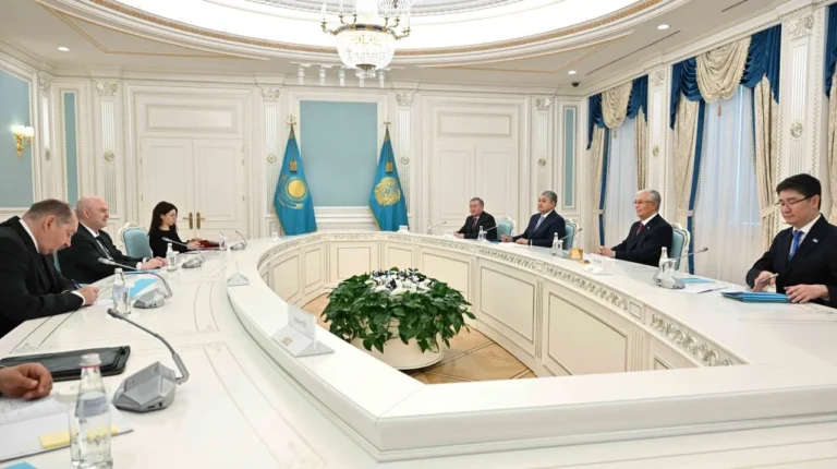 Референдум и реформы: о чем Токаев говорил с генсеком ОБСЕ - изображение 1