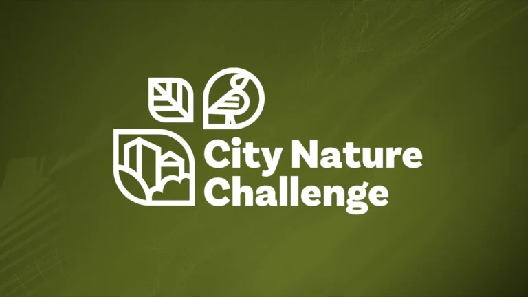 Алматы и Караганда присоединятся к международной акции City Nature Challenge - изображение 1