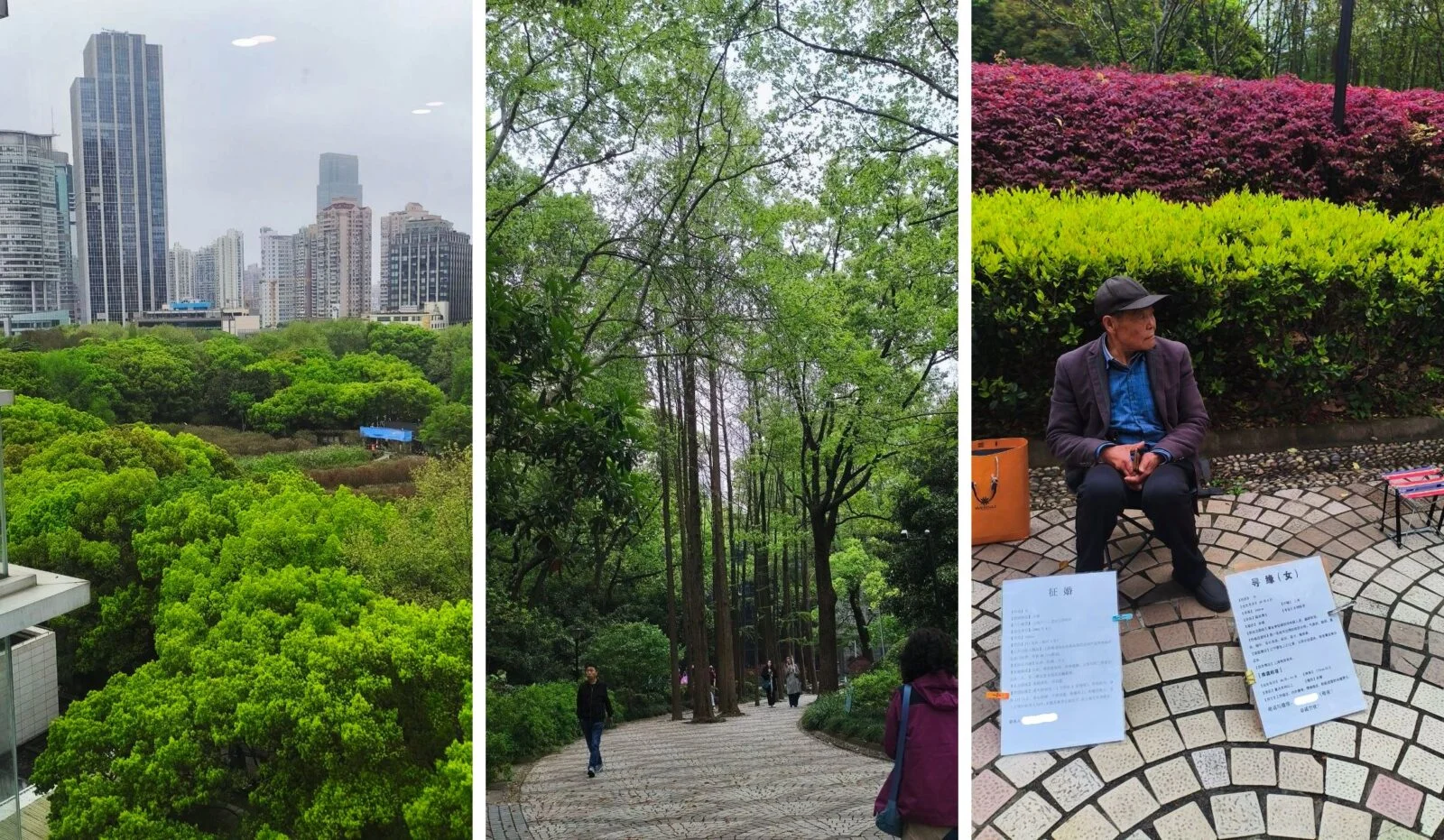 Изображение 49 для Чем Шанхай удивит казахстанцев