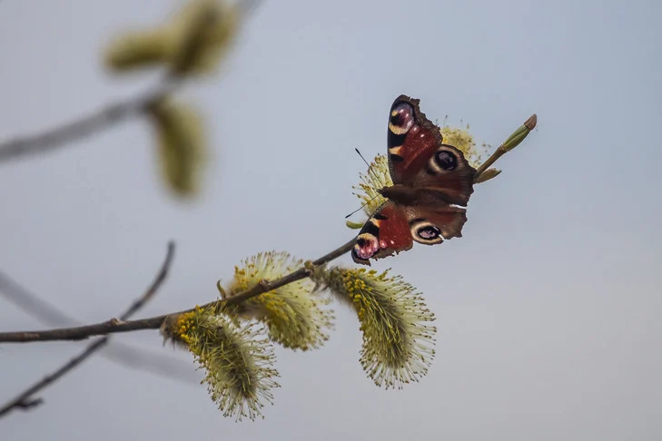 От холода до жары: Казахстан ждут резкие погодные перепады - изображение 1