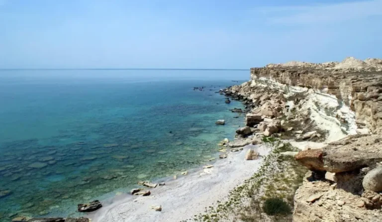Япония поддержит Казахстан в борьбе за Каспий - изображение 1