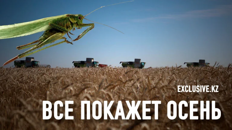 Как Казахстан меняет аграрную политику: дефицит воды, цифровизация и саранча - изображение 1