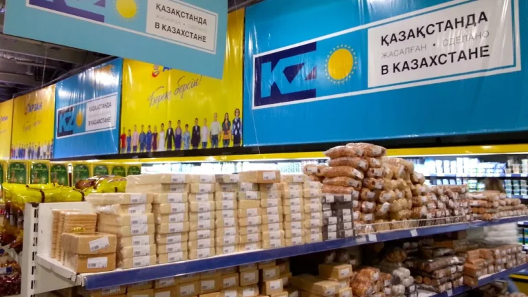 Казахстан хочет закрыть госзакупки для иностранных продуктов - изображение 1
