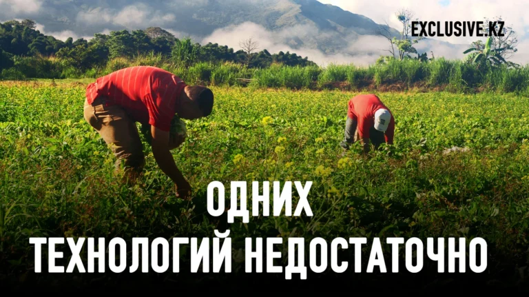 Торможение аграрного бума в Латинской Америке - изображение 1