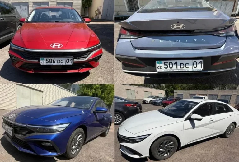 За восемь Hyundai семьи Жанабыловых боролись три госоргана - изображение 1