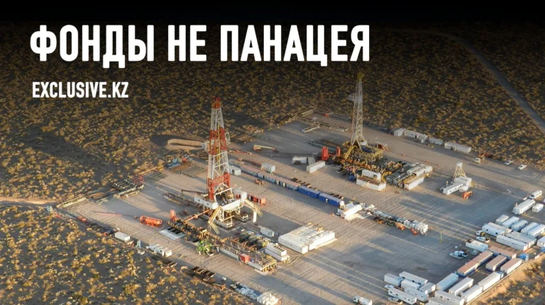 Как защитить свои природные богатства? - изображение 1