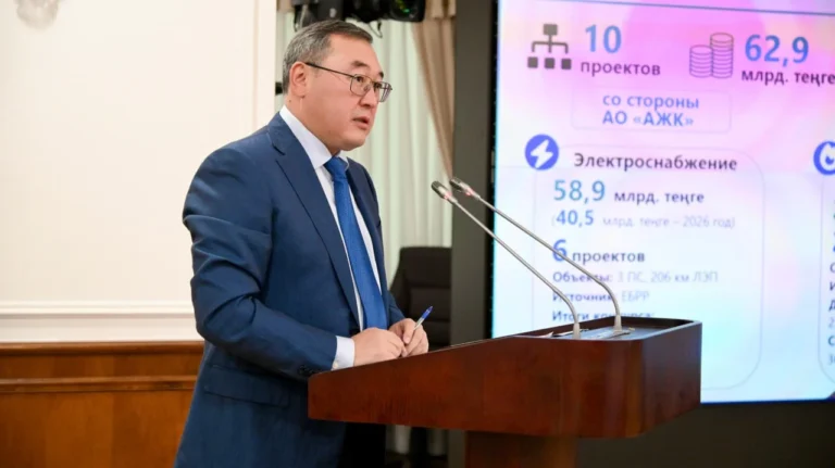«Все виноваты, кроме вас»: Бектенов раскритиковал акима Алматинской области - изображение 1