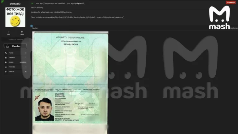 МинИИ проверяет возможный взлом eGov после появления базы в даркнете - изображение 1