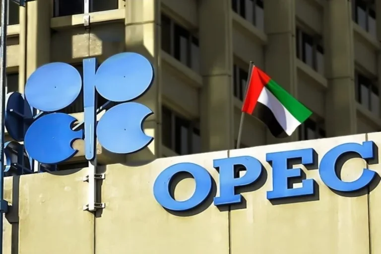 Страны ОПЕК обеспокоены ударами по нефтяным объектам - изображение 1