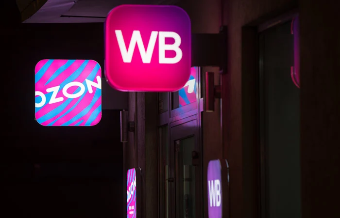 Wildberries и Ozon больше не спишут убытки от БПЛА на продавцов: Токаев поручил Бектенову подписать Соглашение ЕАЭС об e-commerce - изображение 1
