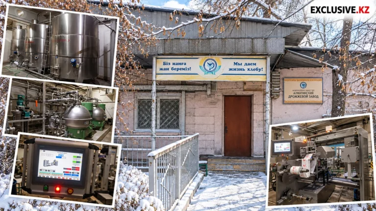 Алматинский дрожжевой завод продаёт оборудование российской дочке мирового лидера рынка - изображение 1