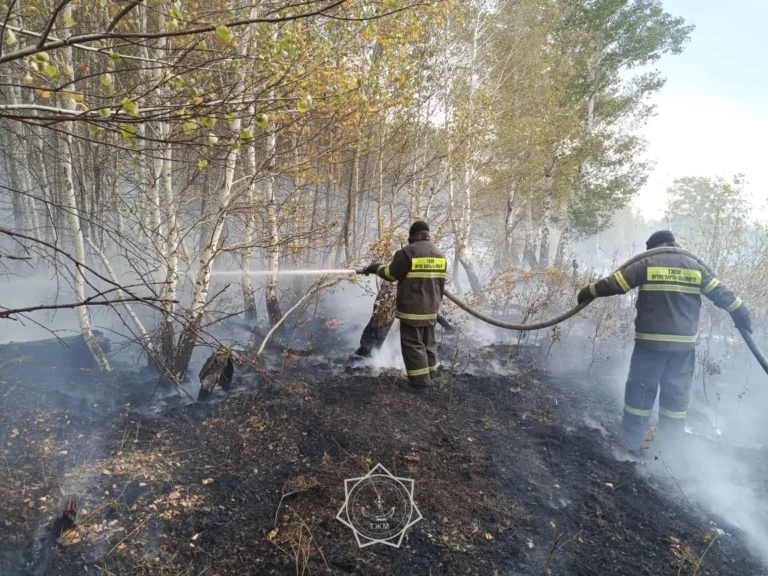 Огонь охватил Баянаульский нацпарк: пожар тушат с земли и воздуха - изображение 1