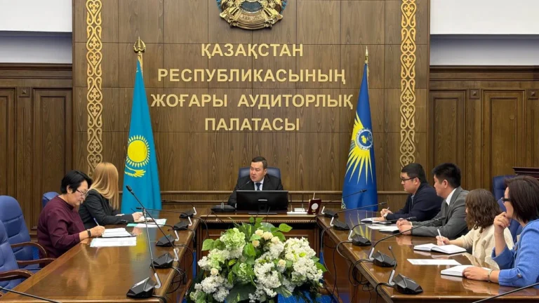 Высшая аудиторская палата Казахстана начала проверку Минобороны - изображение 1