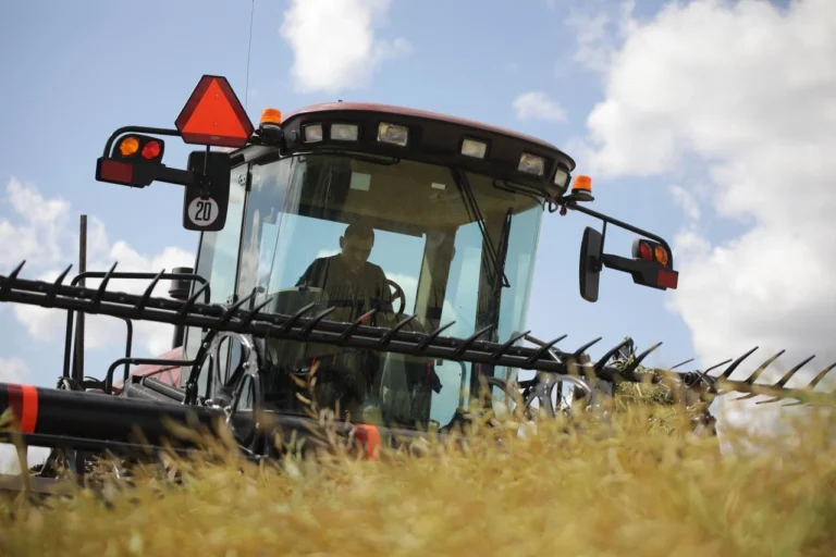 Правительство установило закупочные цены на пшеницу урожая 2026 года - изображение 1