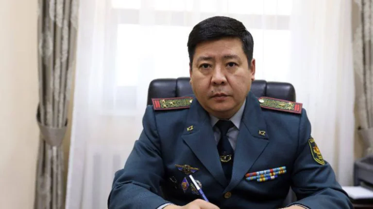 Токаев уволил ещё одного вице-министра обороны - изображение 1