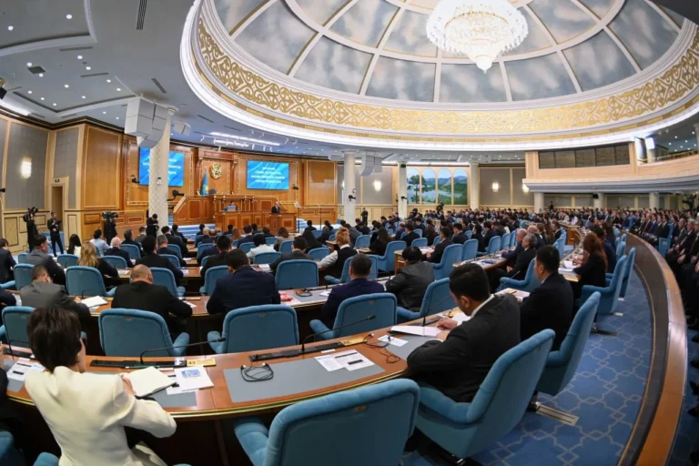 Токаев предложил запретить проверки малого бизнеса с 2027 по 2029 годы - изображение 1
