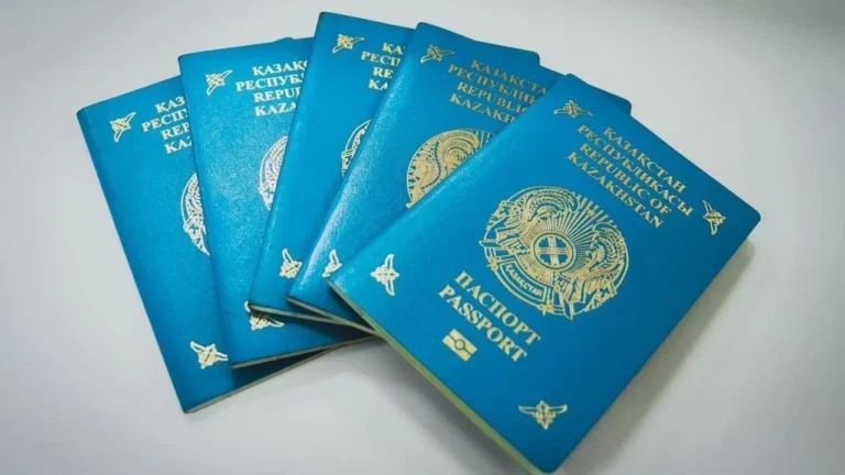 48 человек наказано за двойное гражданство в ВКО с начала года - изображение 1