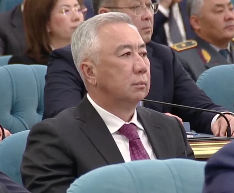 Налог на роскошь введут в Казахстане? Токаев предложил повысить ставку для богатых - изображение 1