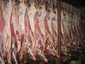 Изображение 1 для 149 тонн пищевой продукции ветеринарная инспекция МСХ РК в 2012г не допустила к реализации