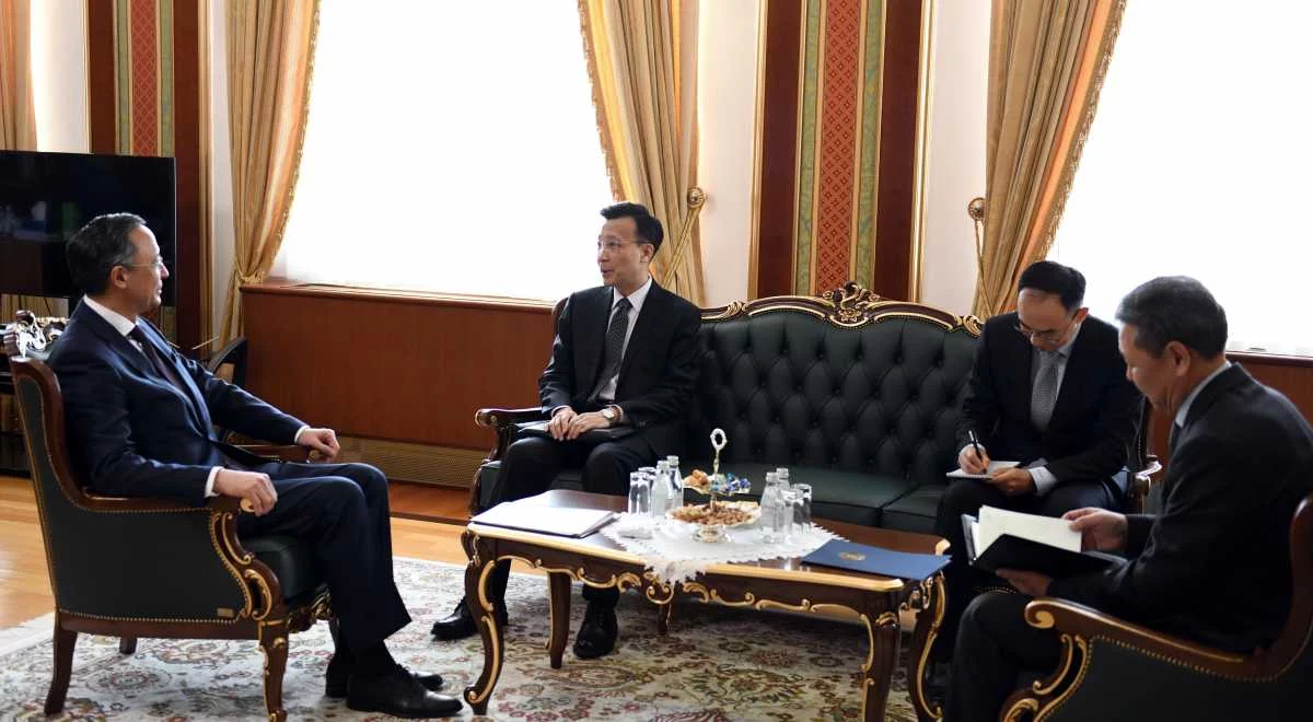 Изображение 3 для «Нур Отан» с типично женским лицом