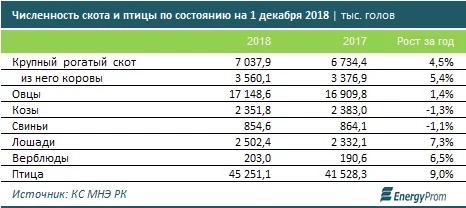 Изображение 7 для Вопрос, который волнует родителей детей с ментальными нарушениями