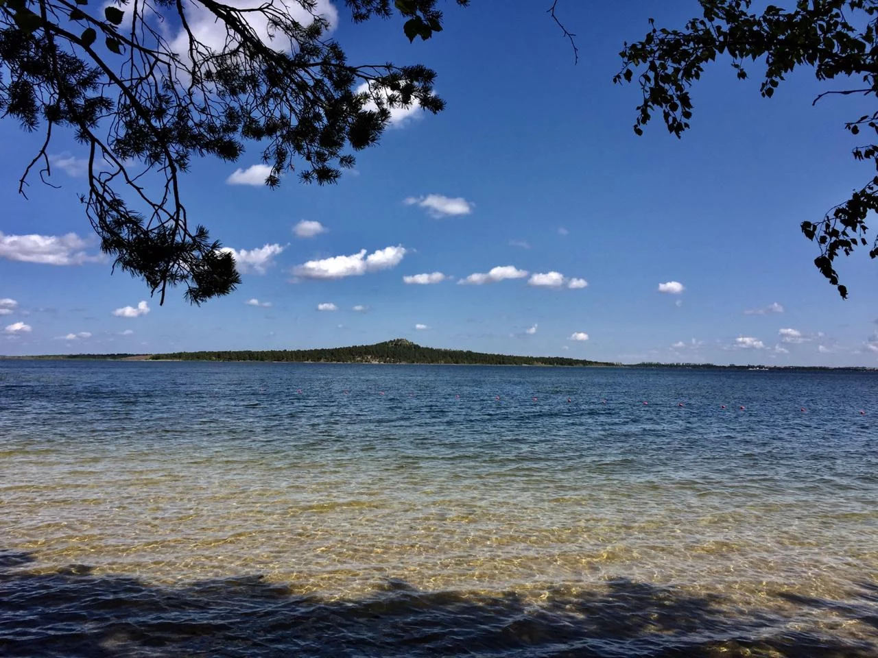 Изображение 6 для Российский юрист подал заявление на Путина