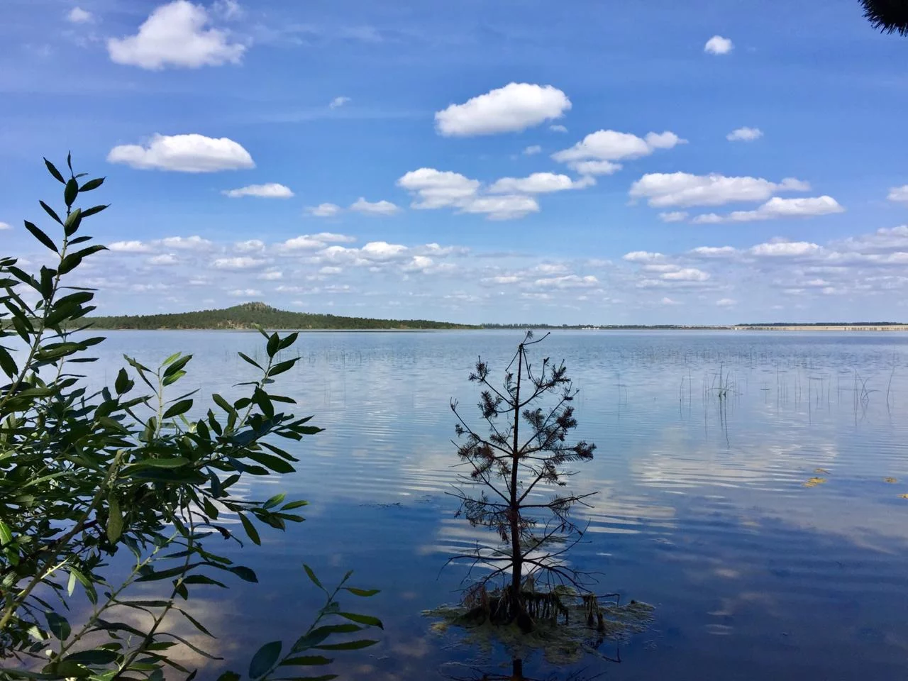 Изображение 5 для Российский юрист подал заявление на Путина