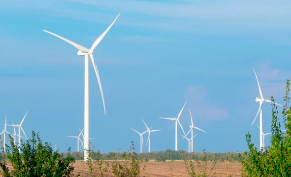 Изображение 3 для За что Гулливера изгнали из страны лилипутов