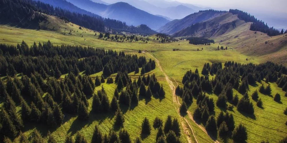 Изображение 3 для Кольцо карман тянет