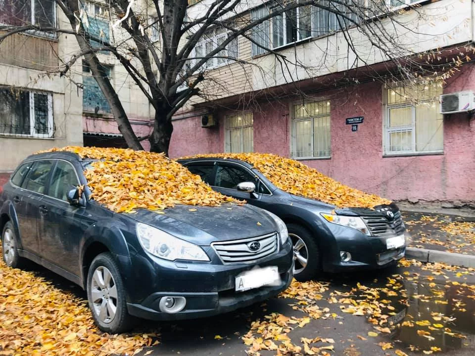 Изображение 3 для В Таджикистане заблокировали 30 сайтов оппозиции