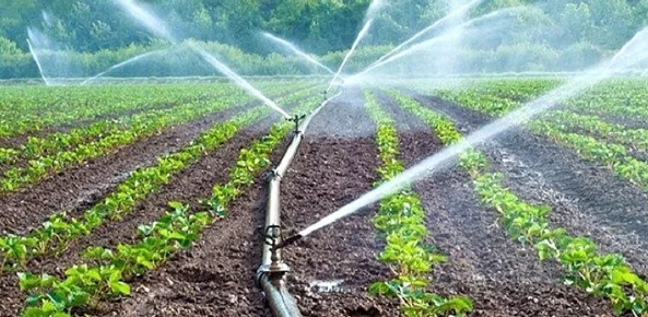 Изображение 4 для Как президенту Токаеву перейти от слов к делу