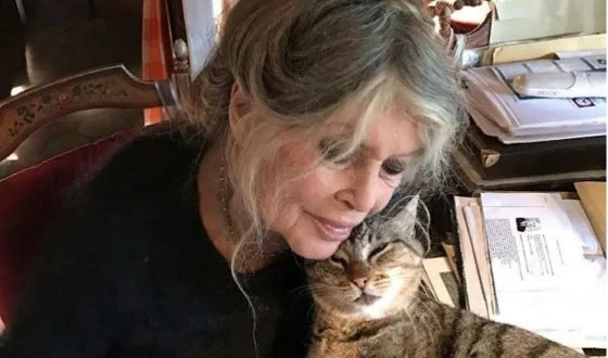 Изображение 3 для Наш школьник в 23 раза «дешевле» сингапурского