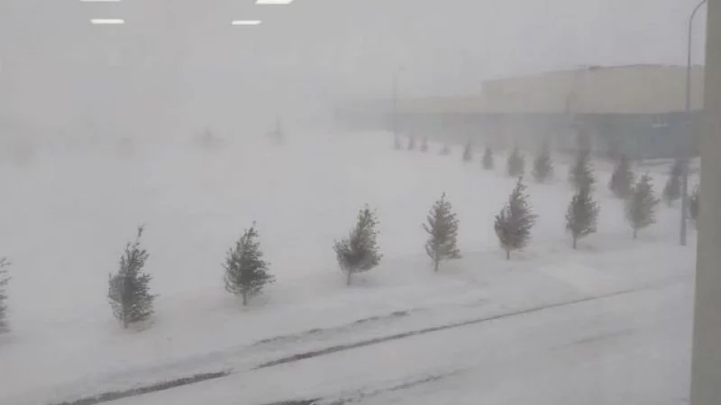 Изображение 1 для Убийство в «Казахмысе»