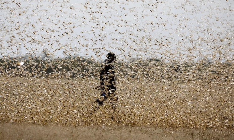 Изображение 9 для Российский олигарх обвинил азиатские страны