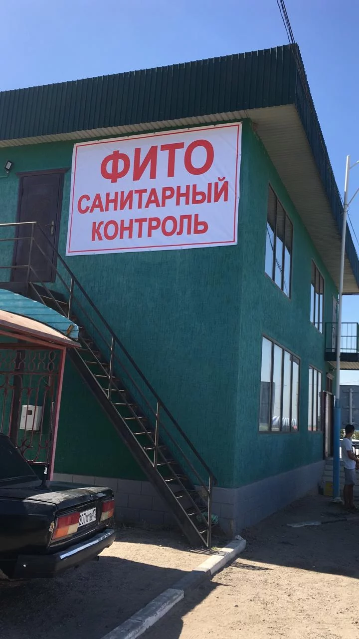 Изображение 6 для Как казахстанские контрабандисты губят наше сельское хозяйство