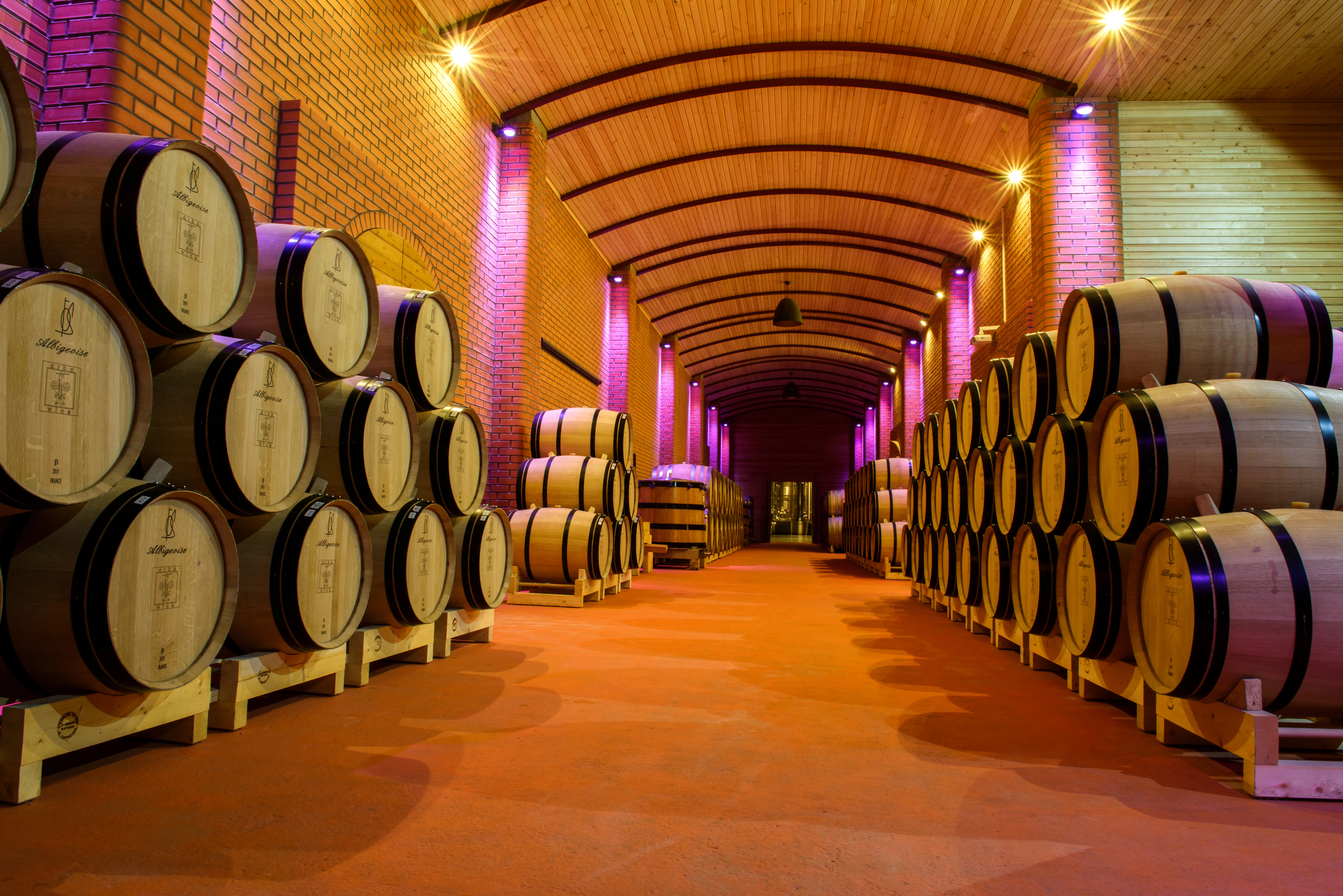 Изображение 9 для Arba Wine становится национальным брендом, меняя взгляд на Казахстан