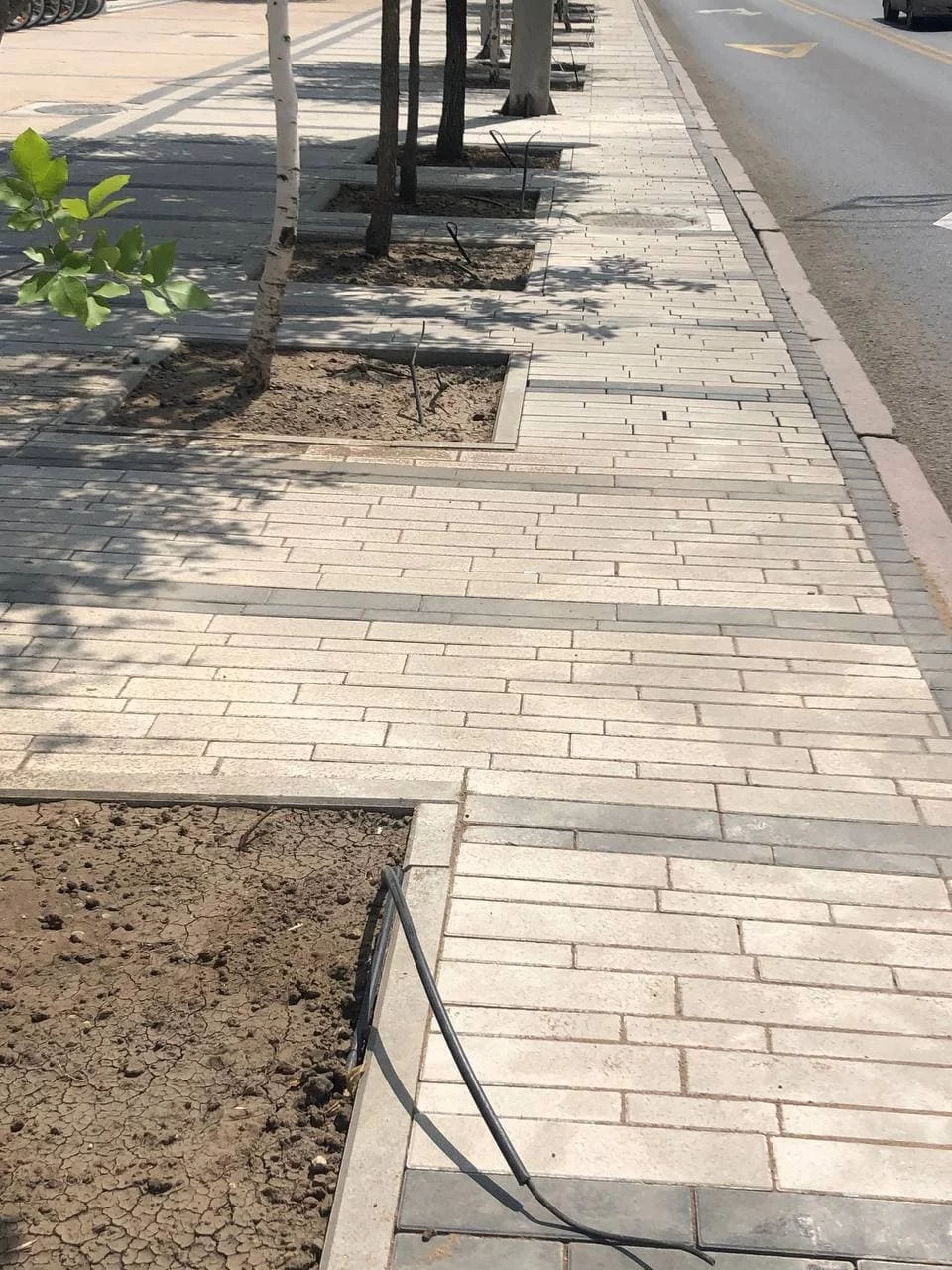 Изображение 17 для Новые тротуары в Нур-Султане не продержались и неделю