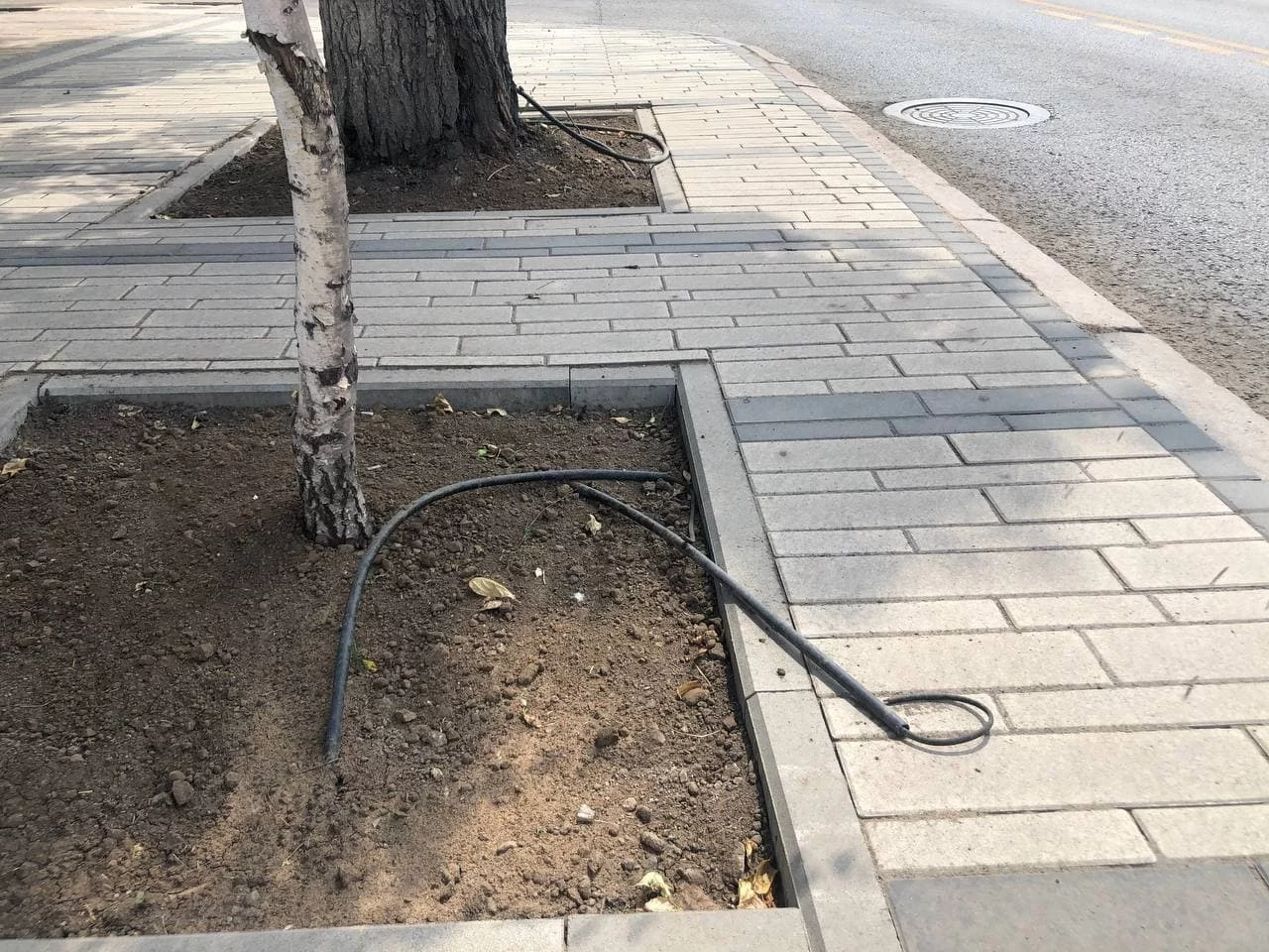 Изображение 11 для Новые тротуары в Нур-Султане не продержались и неделю