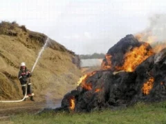 Изображение 1 для В Восточном Казахстане сгорело 500 тонн сена
